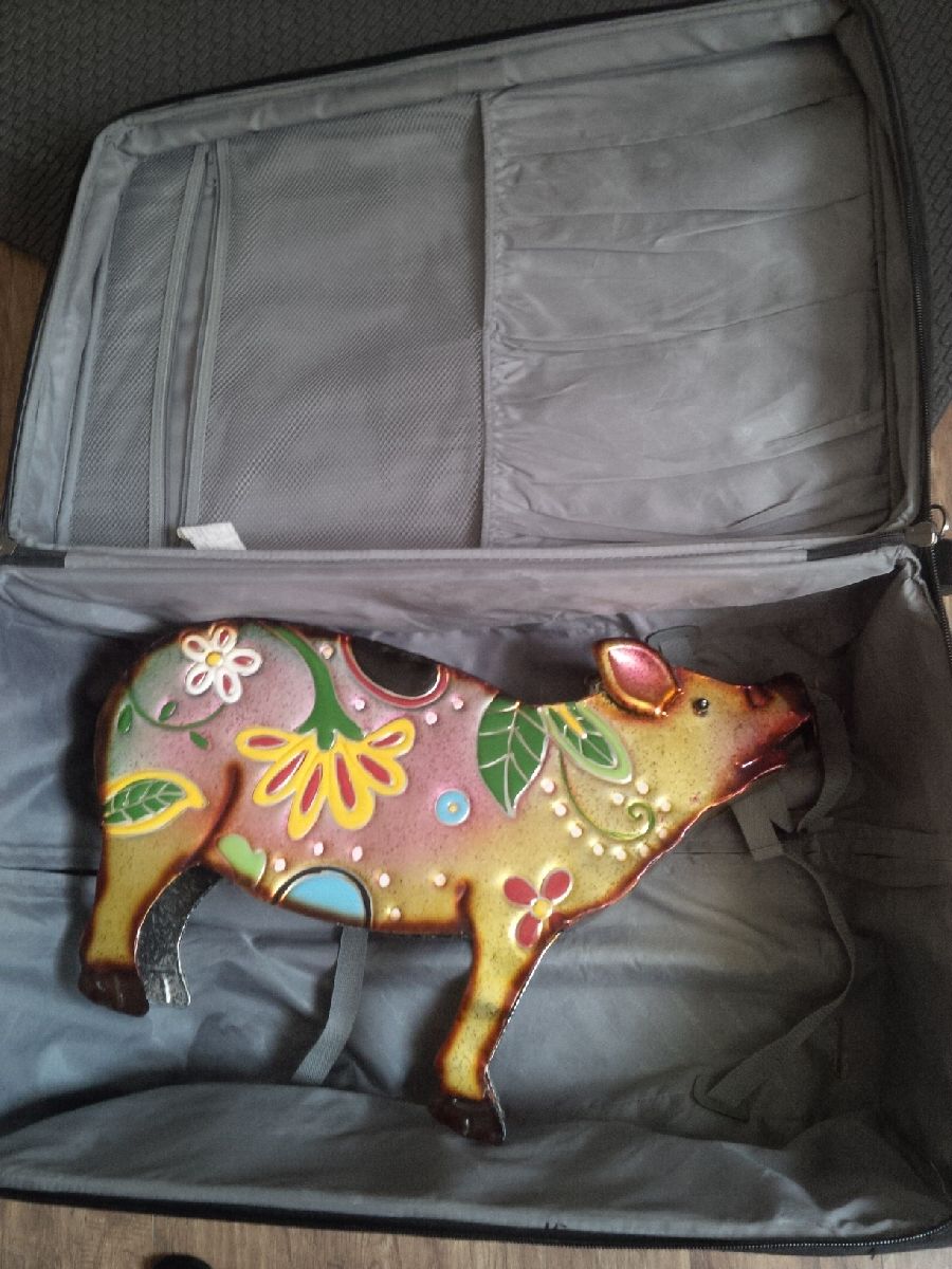 Pig in a suitcase