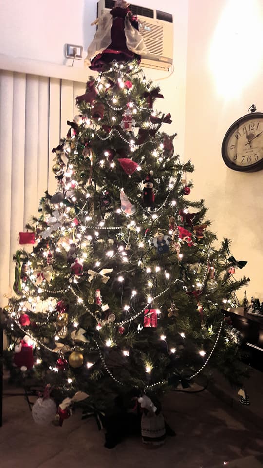 24899711_10155086227796198_3210385353696014323_n