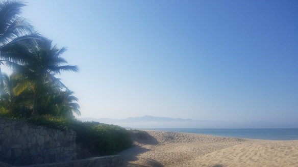 20200322_091535_resized